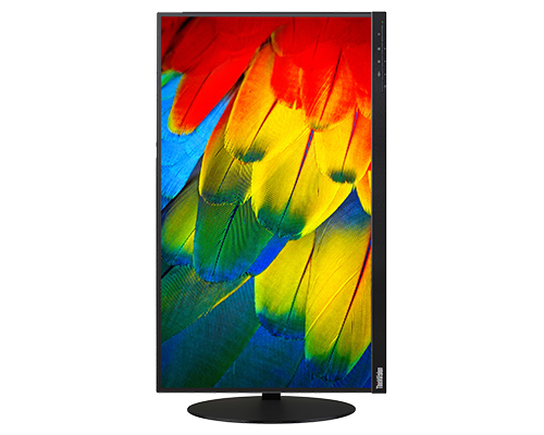 ThinkVision T24m-10 23.8-inch FHD WLED Type-C Monitor